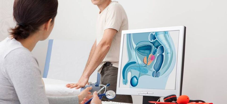 Doktor